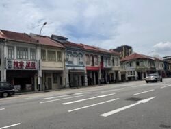 Lorong 39 Geylang (D14), Shop House #498243281